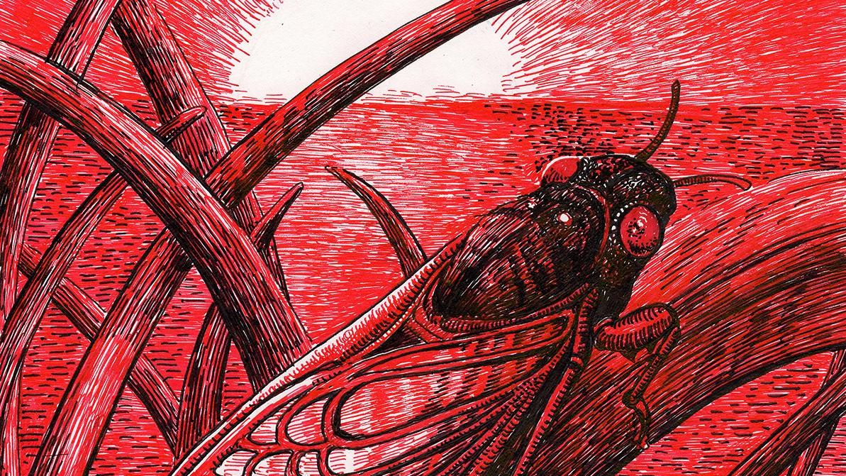 Batavia’s Chris Hodge, a high school art teacher, earned Best in Show for “Dawn of the Cicada.” (Chris Hodge)