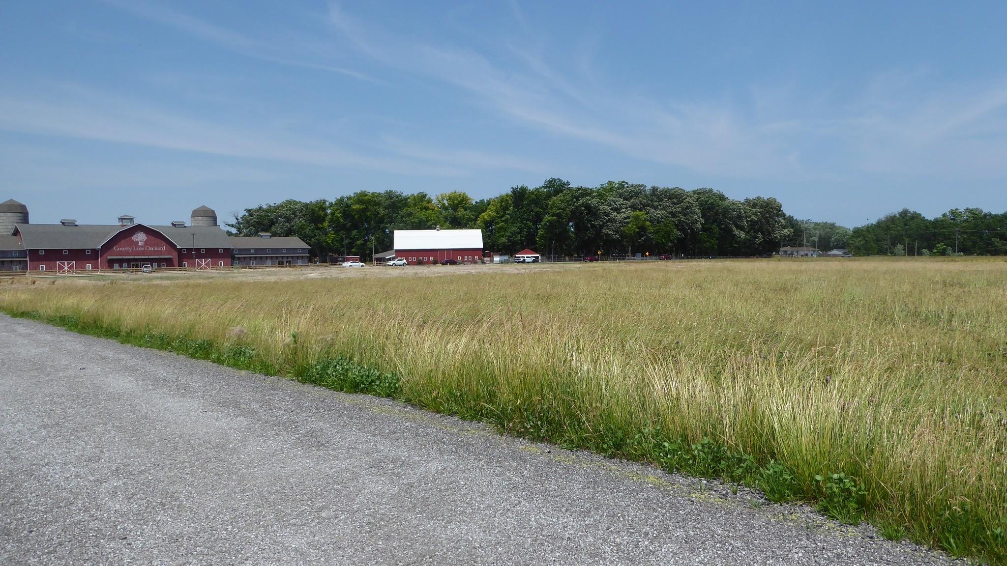 County Line Orchard and its hayfield/overflow parking lot, photographed June 16. (Chicago Ornithological Society / X)