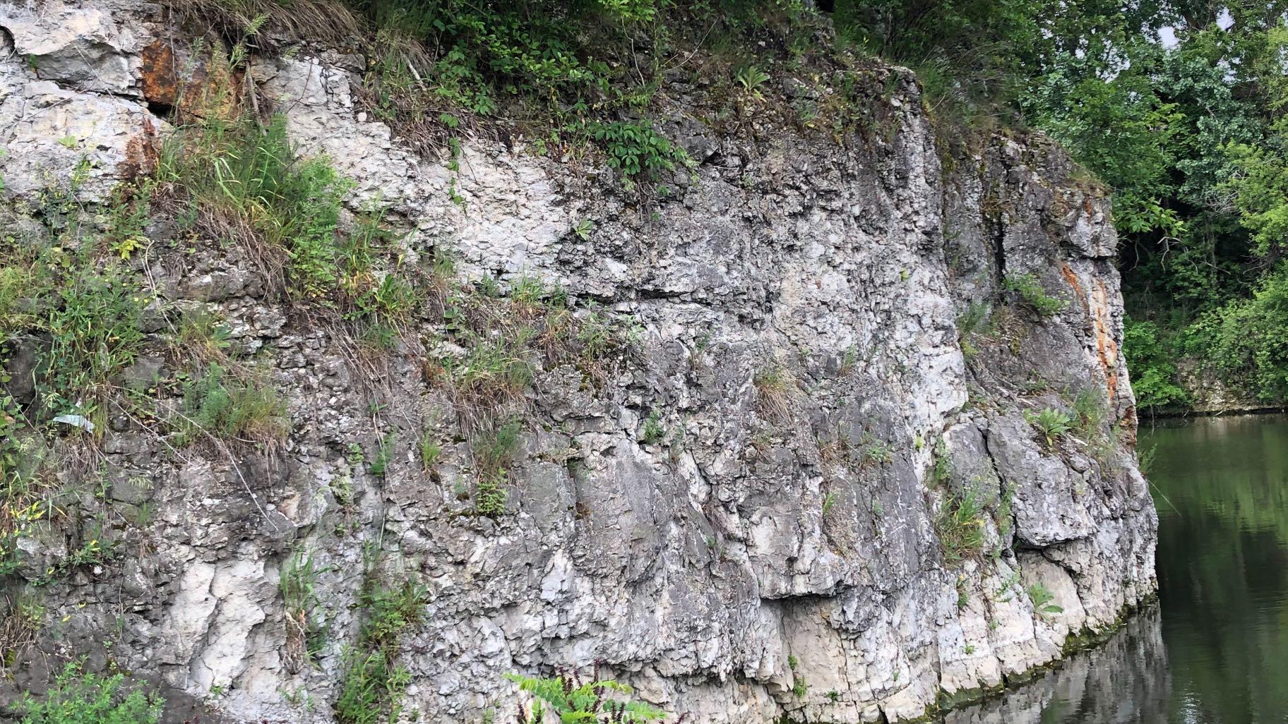 An outcrop of 400-million-year-old dolostone at Chicago’s Palmisano Park. (Patty Wetli / WTTW News)