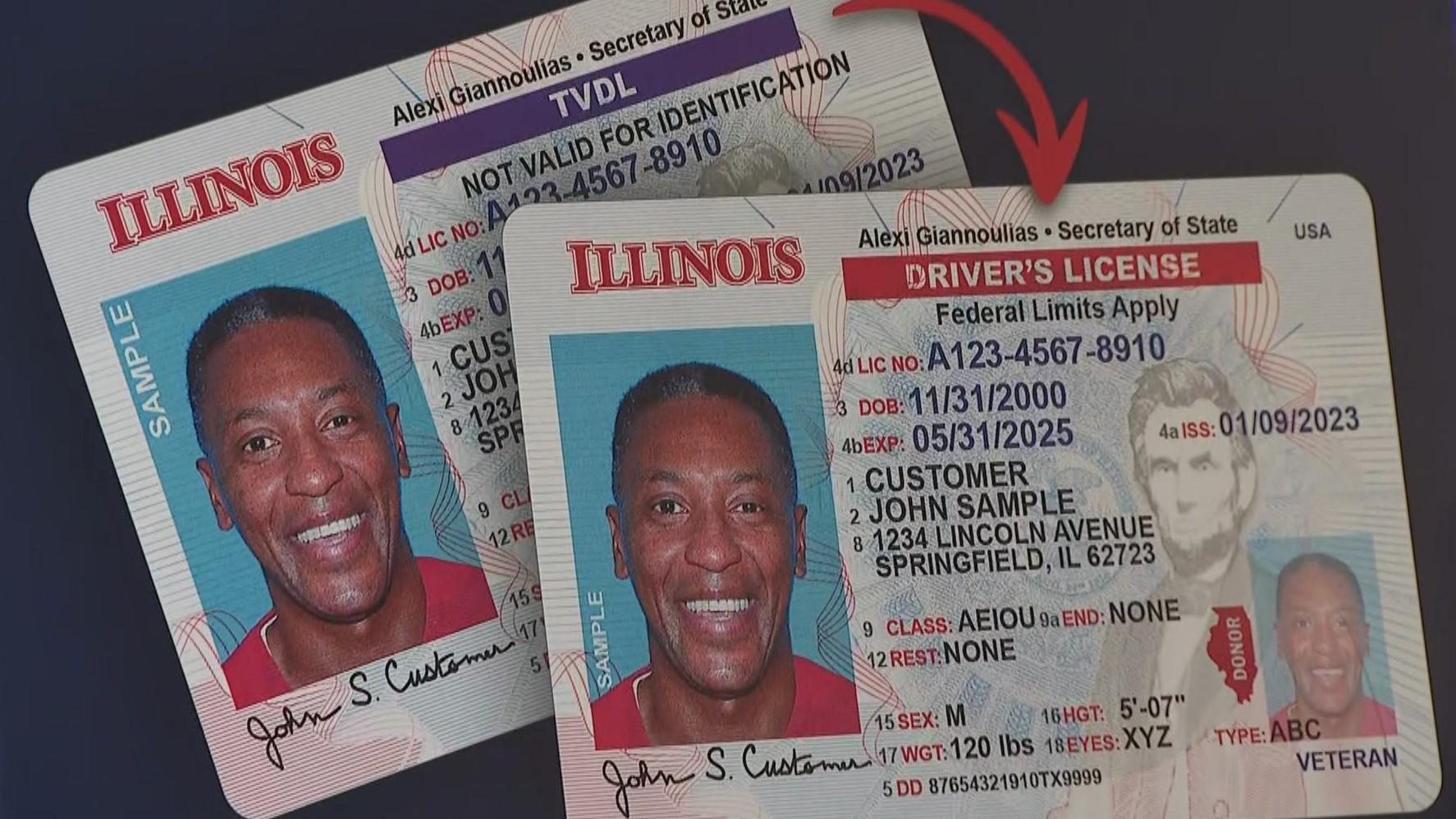 Examples of a Temporary Visitor Driver’s License and the new standard driver’s license for Illinois residents without U.S. citizenship. (WTTW News)