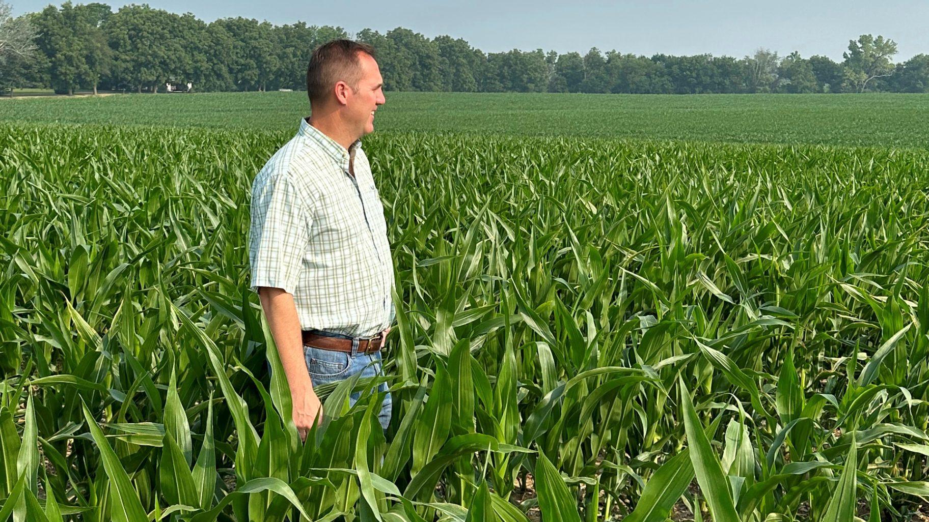 This photo provided by Mike Shane shows Shane as he stands in his corn field near Peoria, Ill., Tuesday, June 27, 2023. By now, the corn stalks should be 10 feet high. Instead, they’re barely up to Shane’s waist. (Mack Foster / Mike Shane via AP)