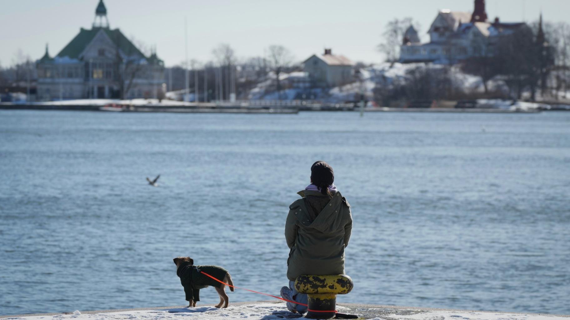A woman enjoys a sunny and frosty day on the embankment of the South Harbour in Helsinki, Finland, Saturday, March 15, 2025. (AP Photo/Sergei Grits) A woman enjoys a sunny and frosty day on the embankment of the South Harbour in Helsinki, Finland, Saturday, March 15, 2025. (AP Photo/Sergei Grits)
