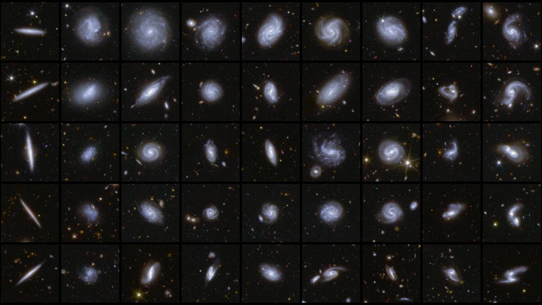 This photo provided by the European Space Agency shows various galaxies imaged by the Euclid mission. (European Space Agency via AP) This photo provided by the European Space Agency shows various galaxies imaged by the Euclid mission. (European Space Agency via AP)