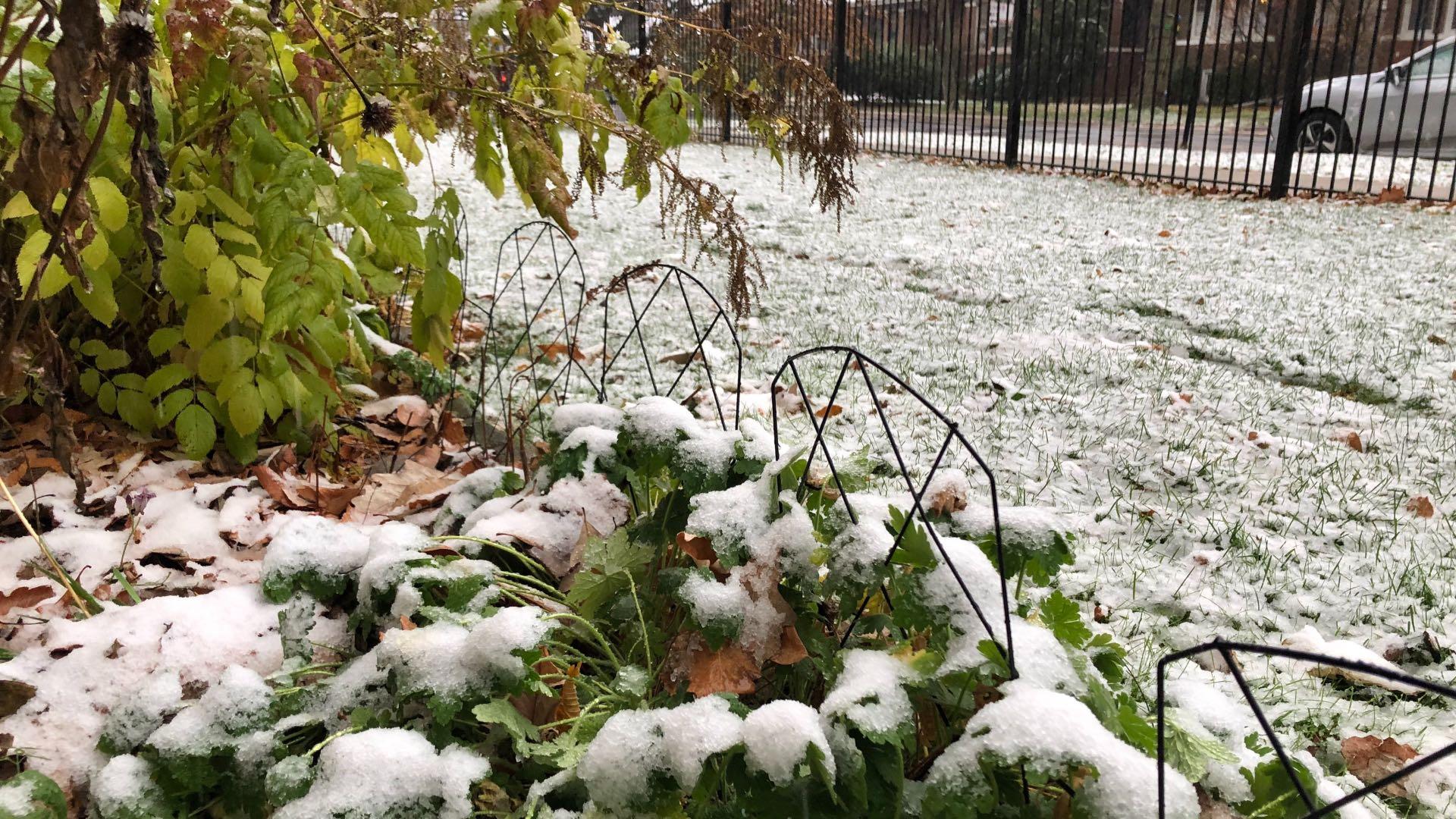 The first snow of 2022 followed record high temps. (Patty Wetli / WTTW News)