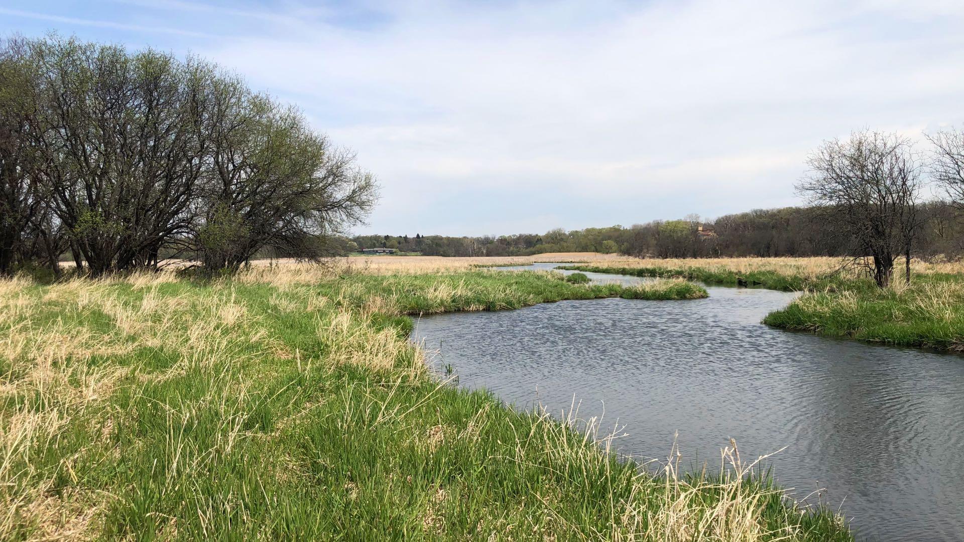 Spring Lake Forest Preserve, Cook County. (Patty Wetli / WTTW News)