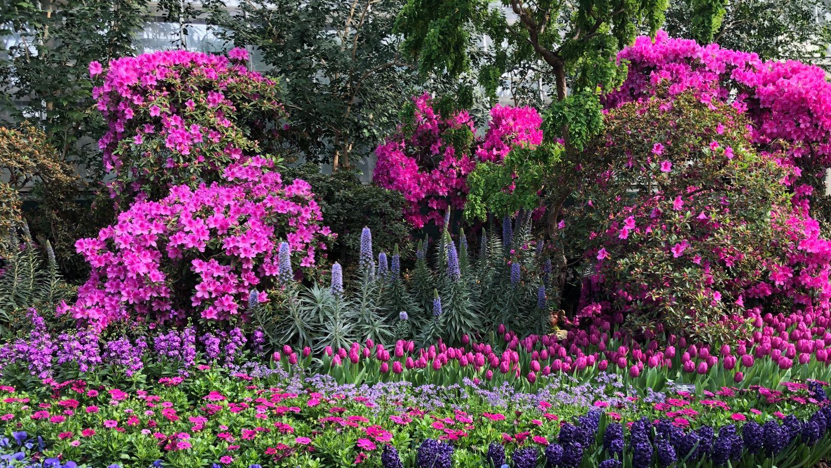 Garfield Park Conservatory's "Saturation" exhibit. (Patty Wetli / WTTW News)