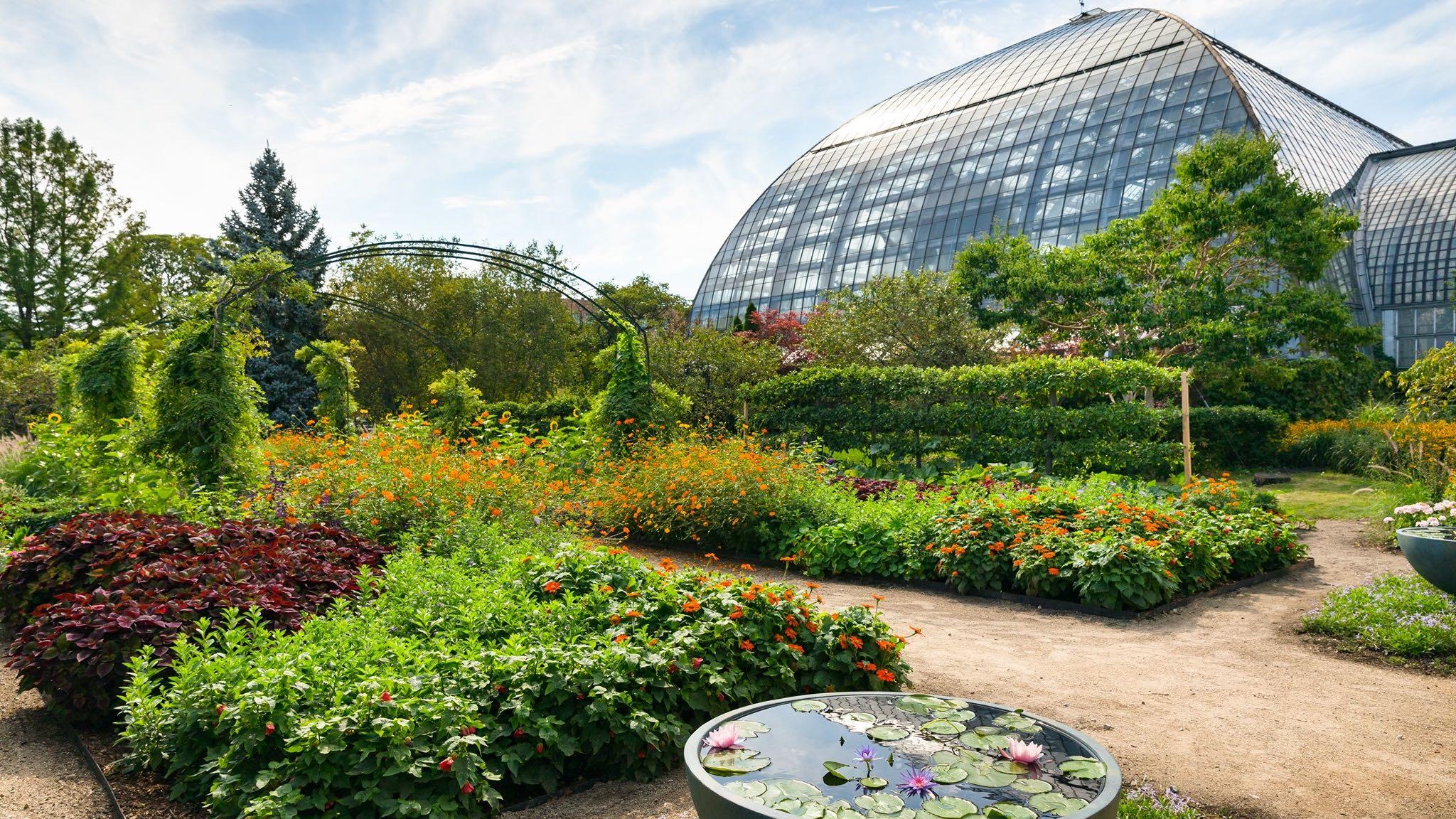 Garfield Pak Conservatory's greenhouse and outdoor gardens are described as "serene and enveloping." (Garfield Park Conservatory / Facebook)