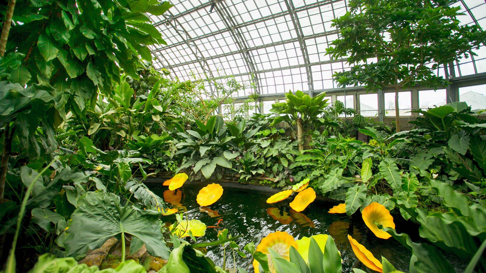 Garield Park Conservatory's indoor garden is reopening to visitors. (Courtesy of Garfield Park Conservatory)