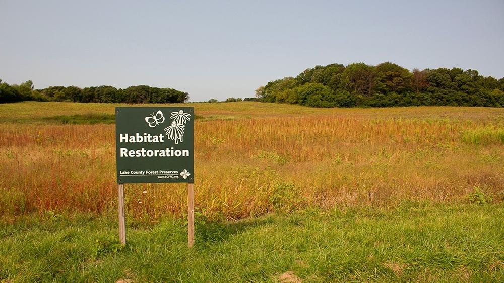 Former farmland within the Grant Woods Forest Preserve will become a demonstration site for climate-adapted seeds. (Courtesy of Lake County Forest Preserves)
