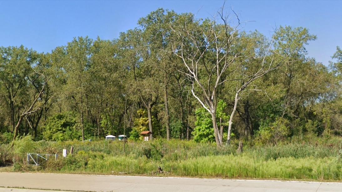 Hegewisch Marsh, seen from South Torrence Avenue. (Google)