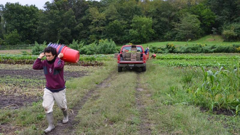 A scene from the documentary “Seasons of Change on Henry’s Farm.” (Seasons of Change on Henry’s Farm / Facebook)