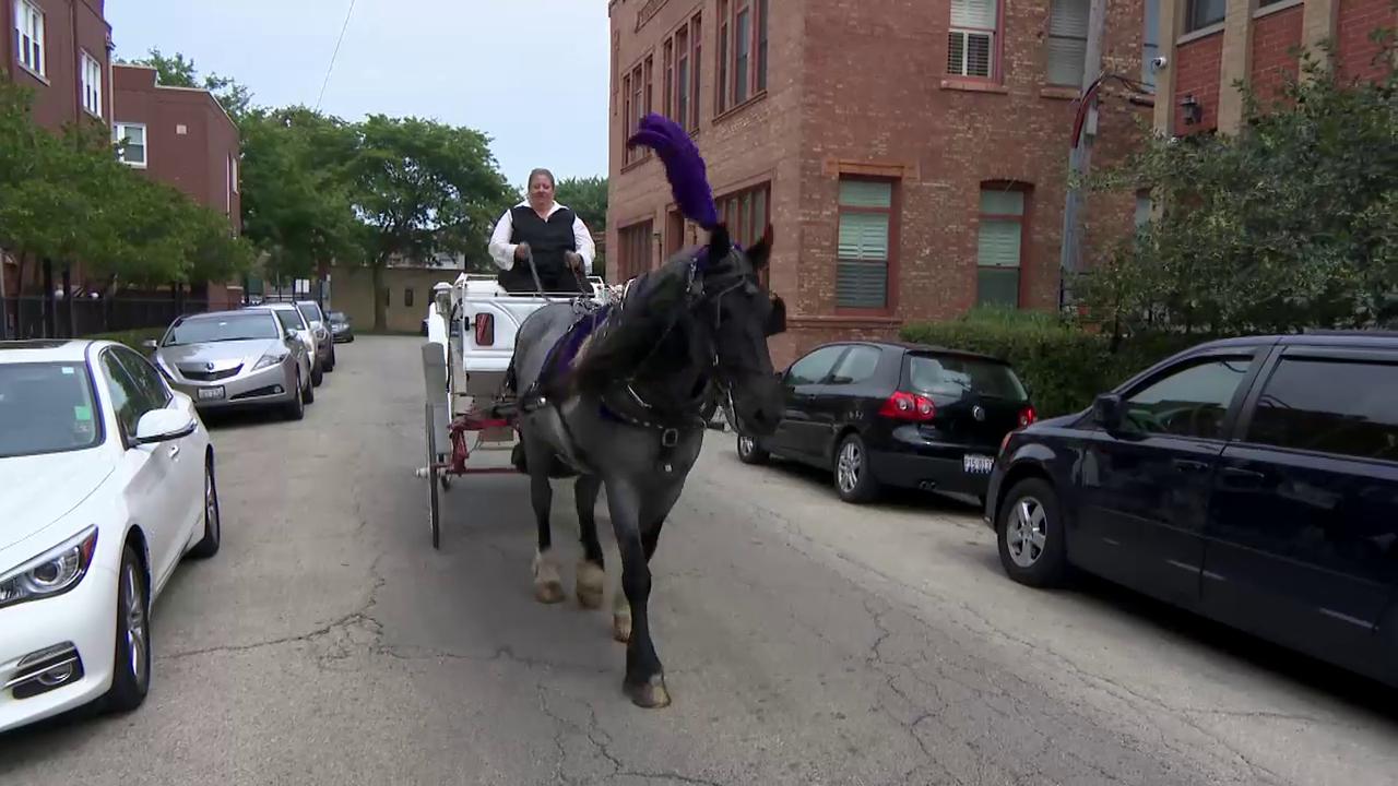 Chicago to ban horse-drawn carriages from 2021