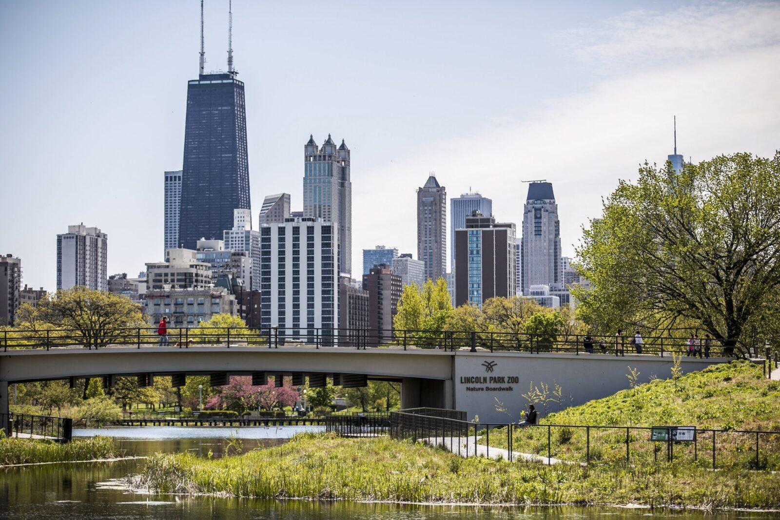 Lincoln Park Zoo's Nature Boardwalk has 14 acres of native plants, which helped contribute to the botanic garden accreditation. (Courtesy Lincoln Park Zoo)