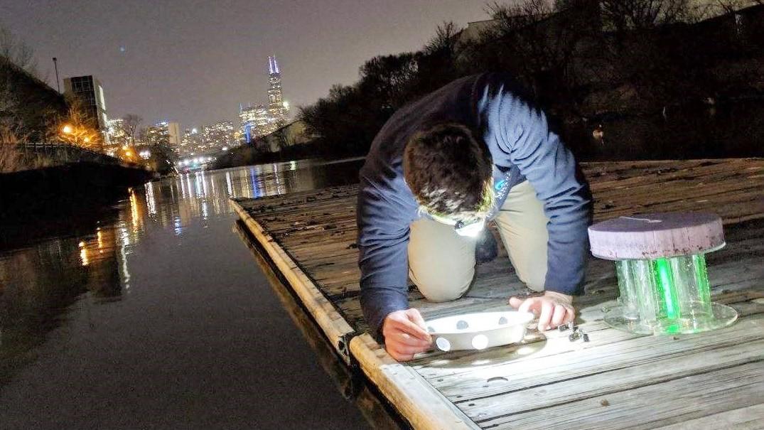 Research biologist Austin Happel checks a light trap for signs of larval fish in the Chicago River. (Courtesy of Shedd Aquarium)