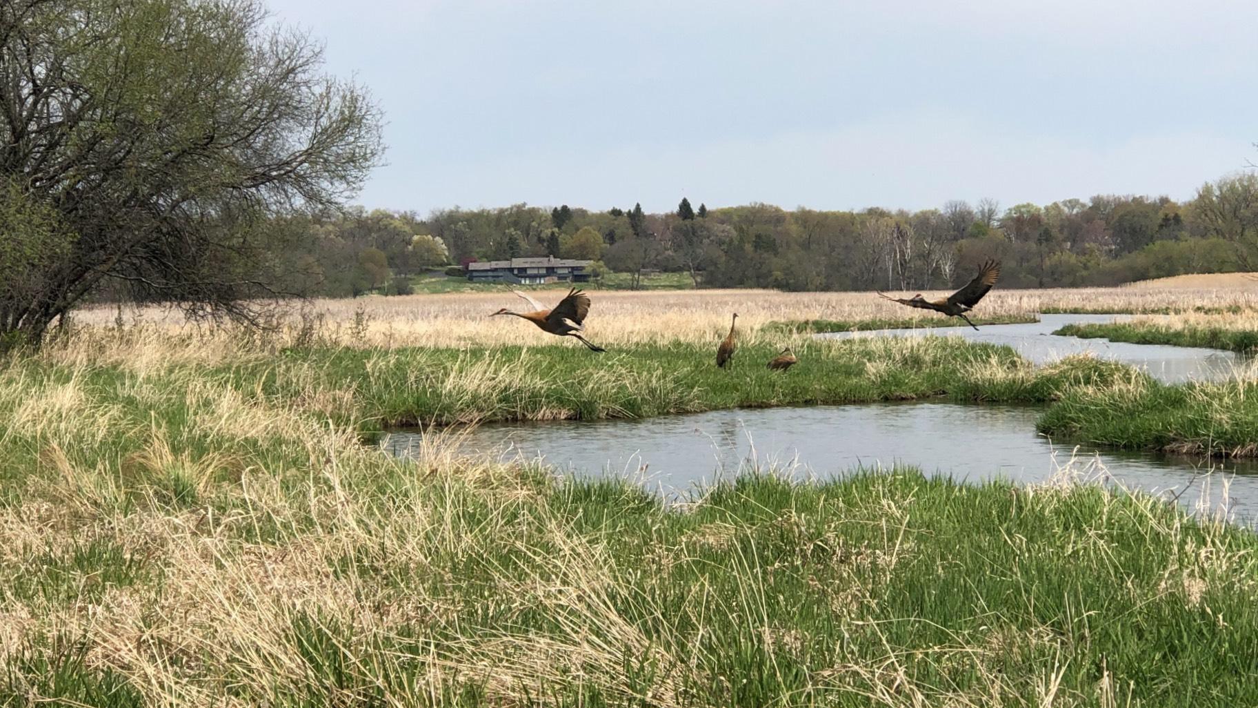 The Forest Preserve District of Cook County encompasses nearly 70,000 acres. (Patty Wetli / WTTW News)