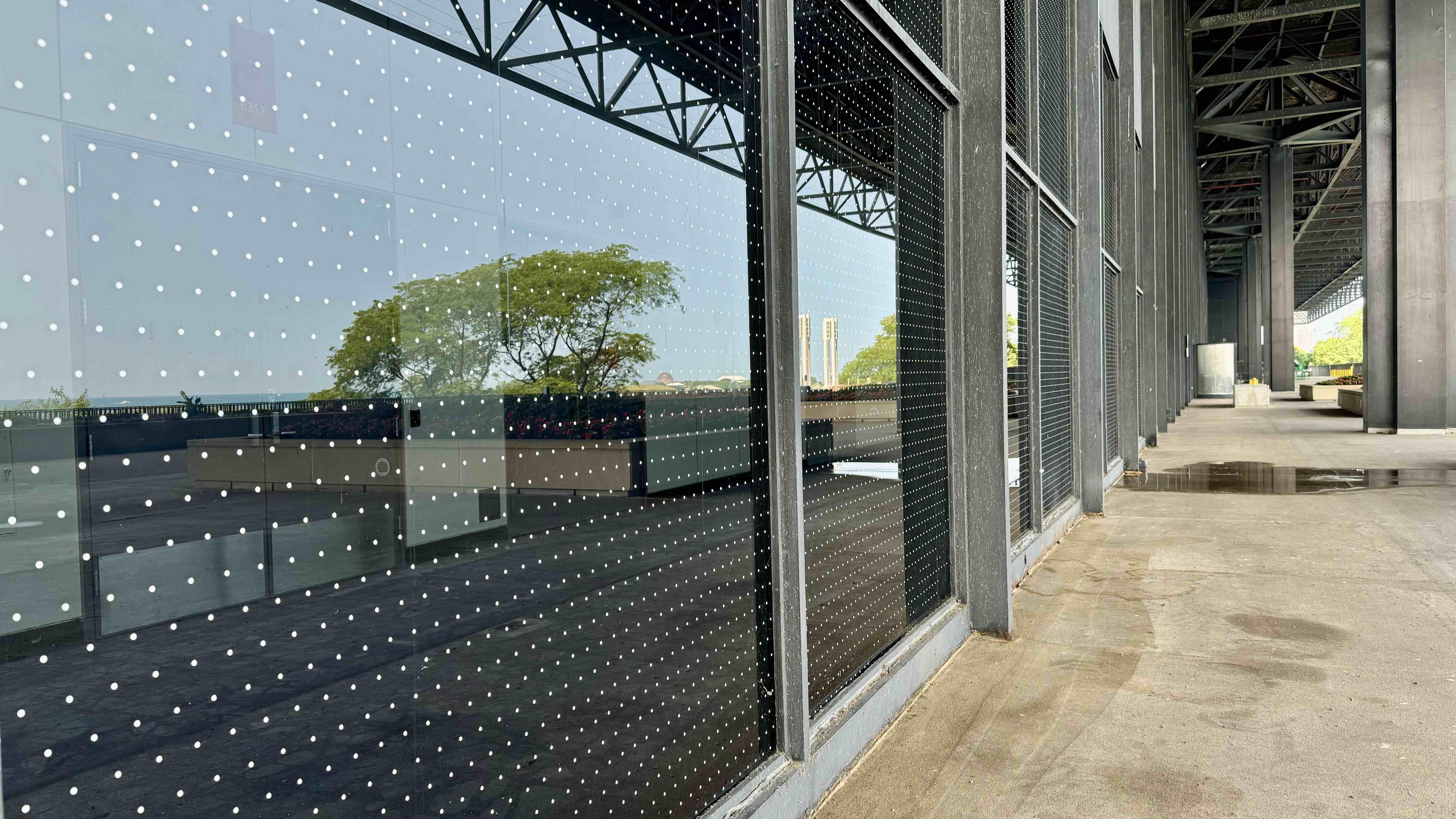 Bird-friendly window film installed at McCormick Place Lakeside Center. (Patty Wetli / WTTW News) Bird-friendly window film installed at McCormick Place Lakeside Center. (Patty Wetli / WTTW News)