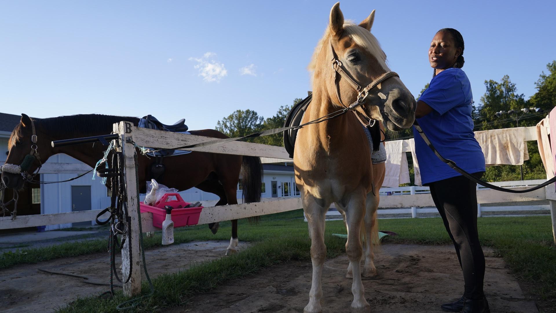 Dionne Williamson, of Patuxent River, Md., grooms Woody before her riding lesson at Cloverleaf Equine Center in Clifton, Va., Tuesday, Sept. 13, 2022. (AP Photo/Susan Walsh)