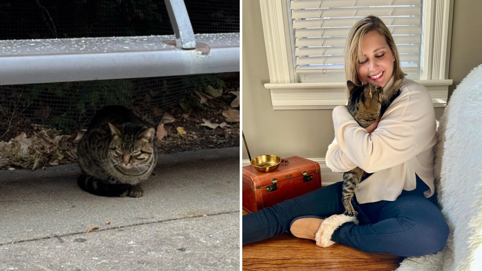 Left: Buddy as a stray cat at Millennium Park. Right: Buddy with new owner Melissa Miller after being adopted. (Courtesy of PAWS Chicago)