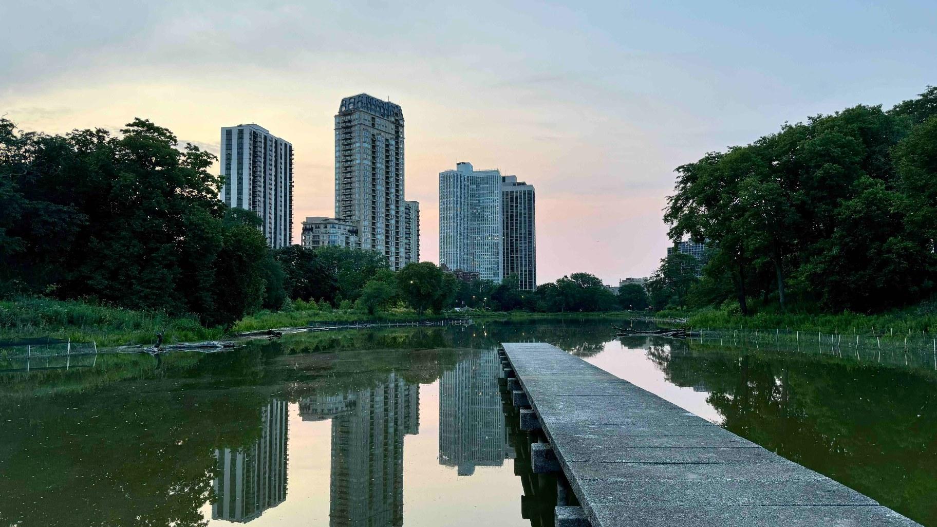 Witnesses Swear There’s an Alligator in North Pond, But It Might Be a ...