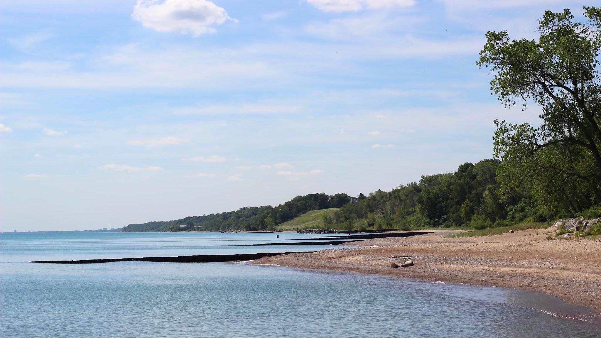 Openlands Lakeshore Preserve. (Courtesy of Openlands)