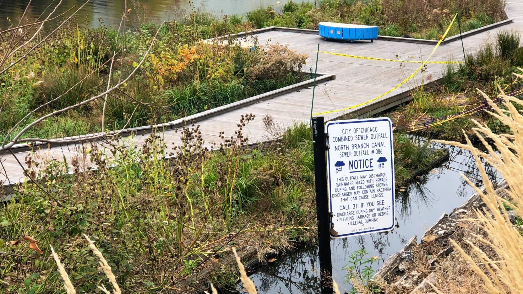 A city of Chicago outfall at the Wild Mile floating wetland installation on the North Branch of the Chicago River. (Patty Wetli / WTTW News)