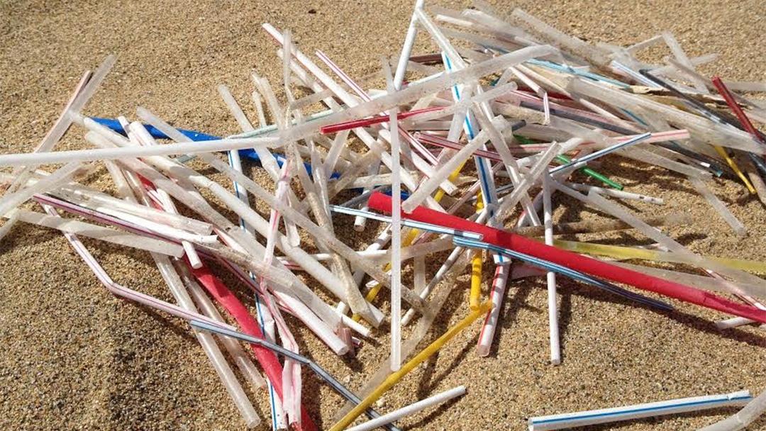 Plastic Free Straws and Foodware