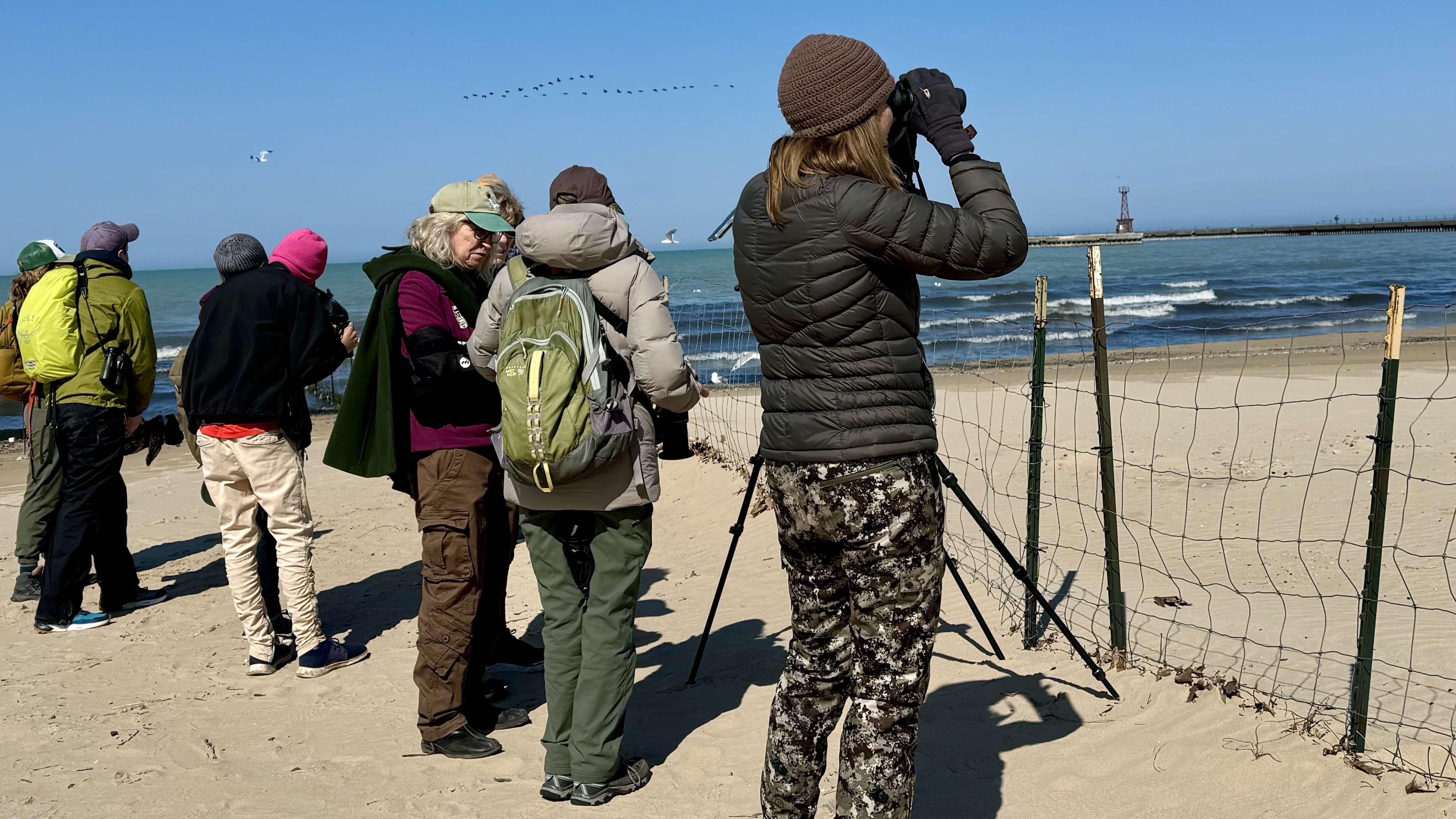 Plover watchers are keeping a close eye on the pair of Great Lakes piping plovers that arrived at Montrose Beach Friday, April 11, 2025. (Patty Wetli / WTTW News) Plover watchers are keeping a close eye on the pair of Great Lakes piping plovers that arrived at Montrose Beach Friday, April 11, 2025. (Patty Wetli / WTTW News)