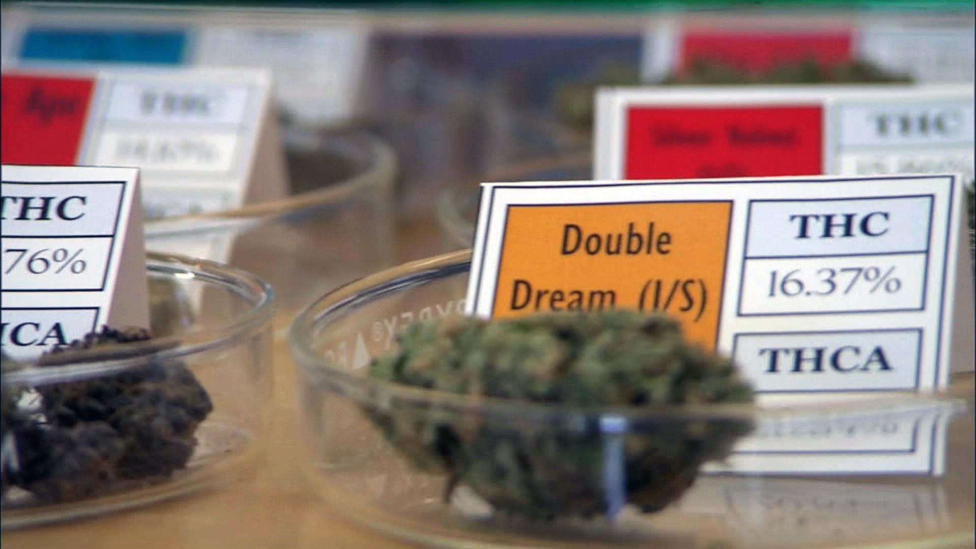 Florida city fires employee over legal medical marijuana use - ABC News