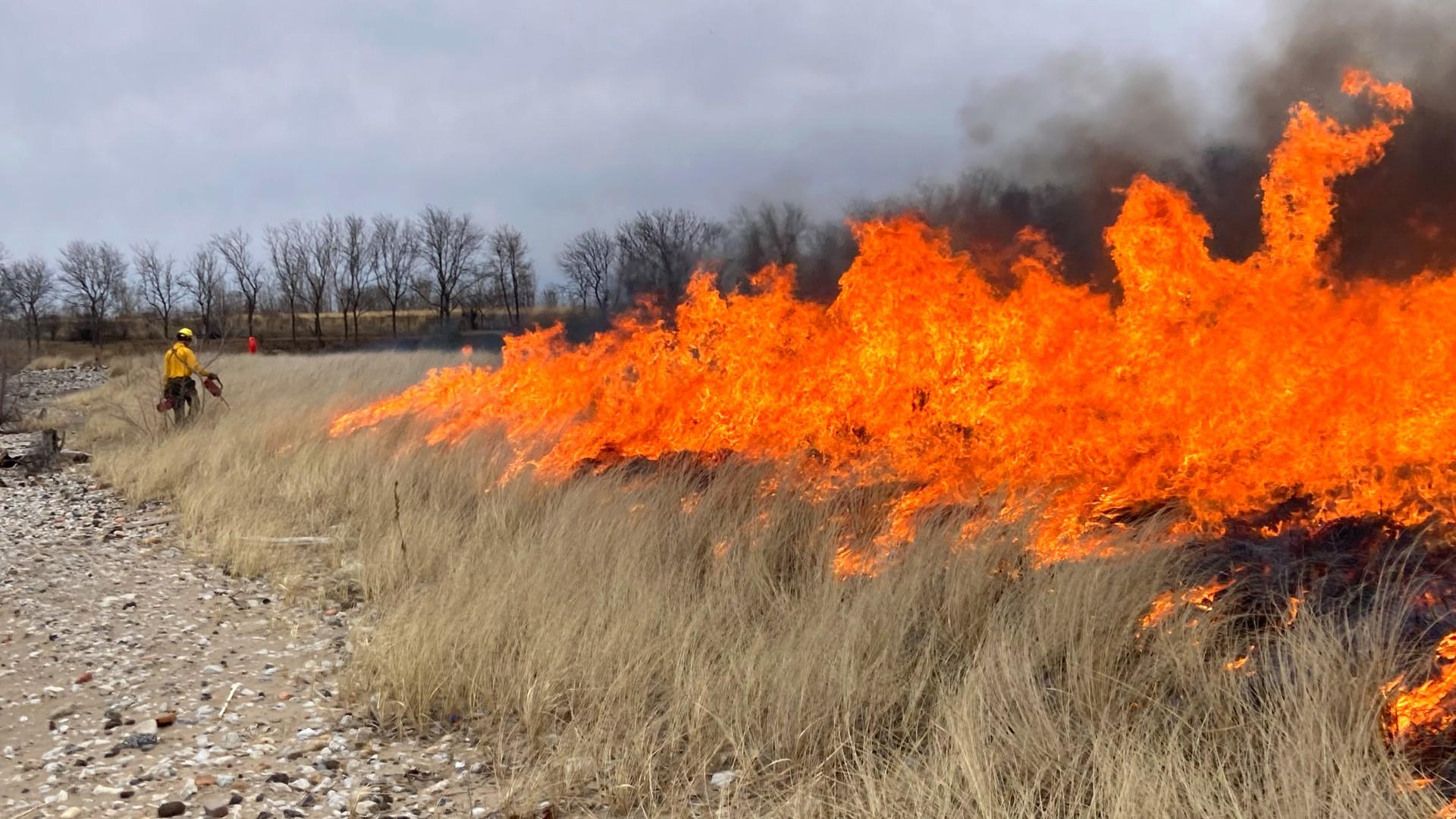 A prescribed burn at Rainbow Beach. (Courtesy Chicago Park District)