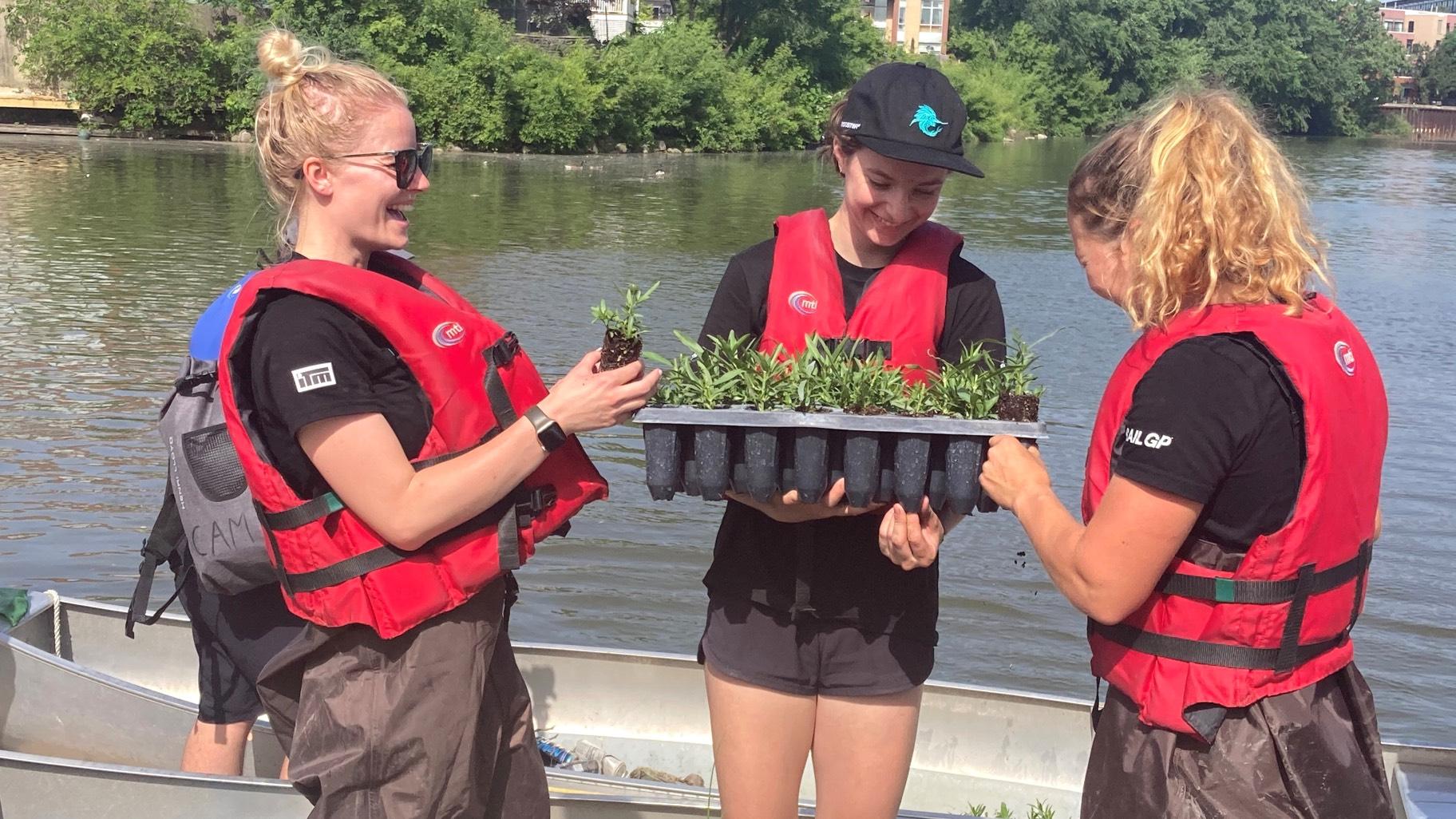 Crew members from SailGP prepare to install native aquatic plants in the Chicago River. (Friends of the Chicago River)