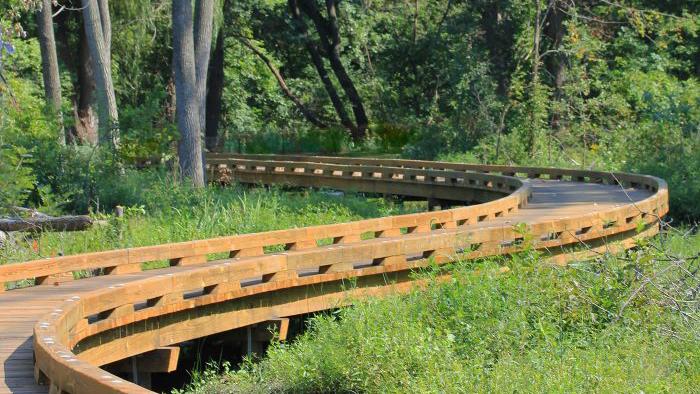 The Lost Beach Trail at Sand Ridge Nature Center leads to a view of an ancient shoreline. (Courtesy of Forest Preserve District of Cook County)