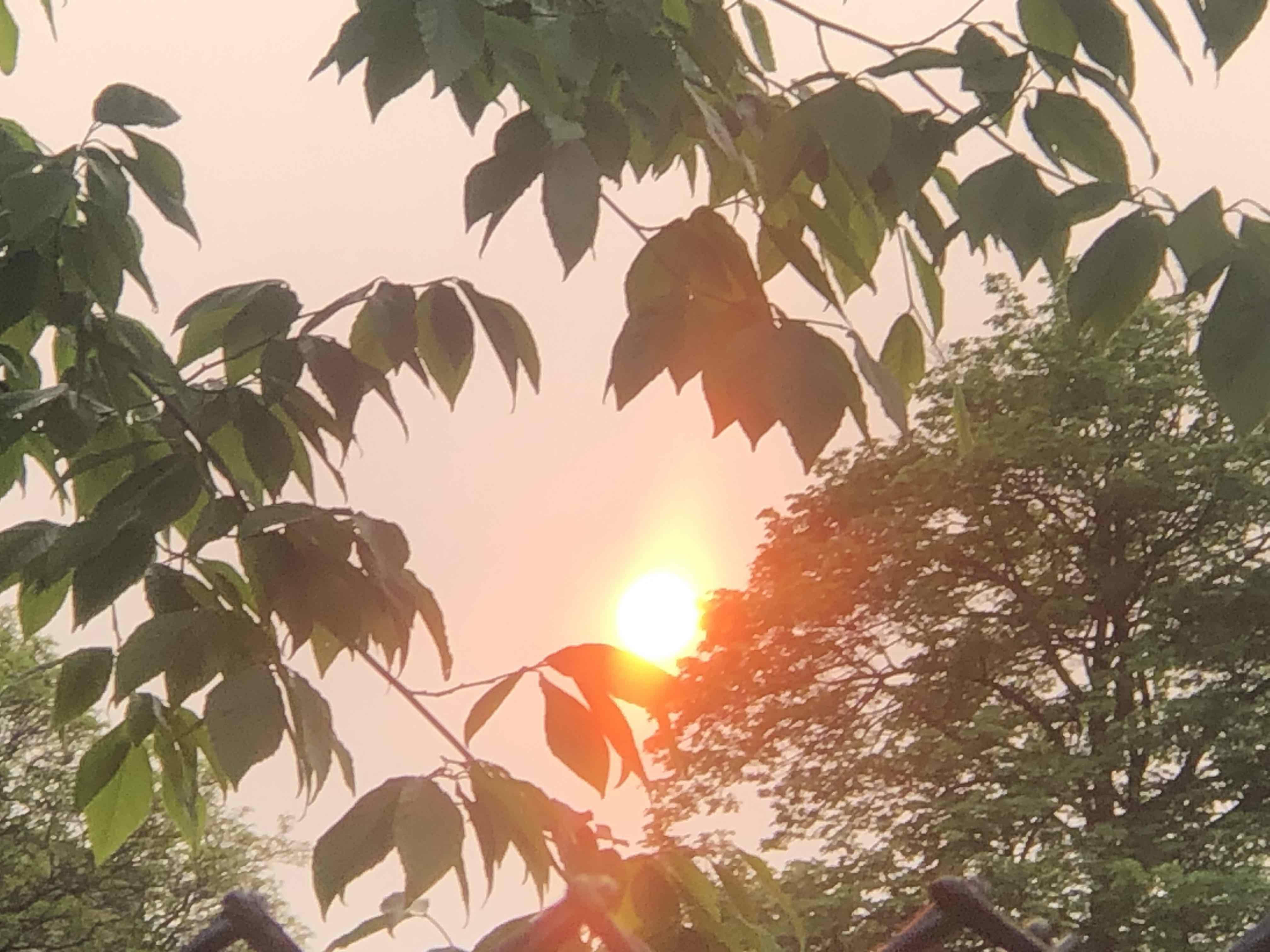 Smoke from wildfires in Canada is making for colorful sunrises and sunsets in Chicago, as seen May 18, 2023. (Patty Wetli / WTTW News)