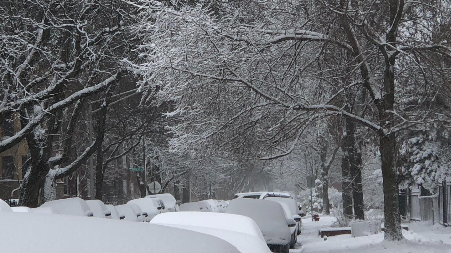 Get ready for another round of snow, Chicago. (Patty Wetli / WTTW News)