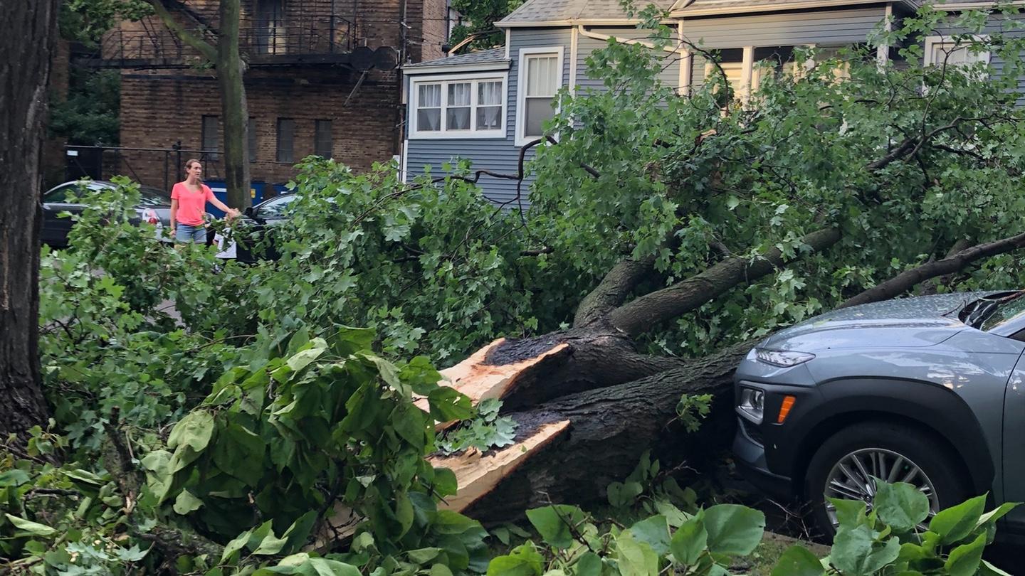 Monday's storm caused widespread damage, including in Chicago’s Lincoln Square, where a Weatherbug station recorded an 85 mph wind gust. (Patty Wetli / WTTW News)
