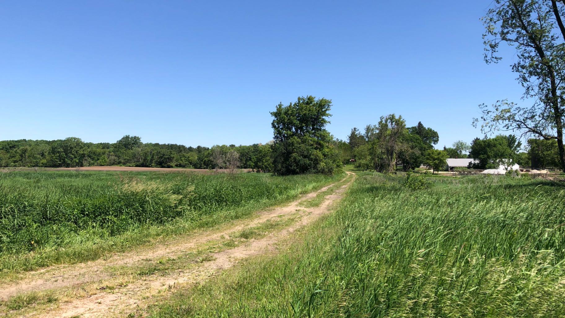 Thompson Road Farm, now owned by The Land Conservancy. (Patty Wetli / WTTW News)