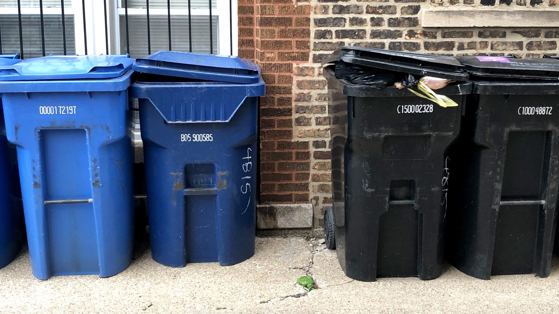 Chicago’s black and blue carts have been the city’s waste management workhorses. (Patty Wetli / WTTW News)