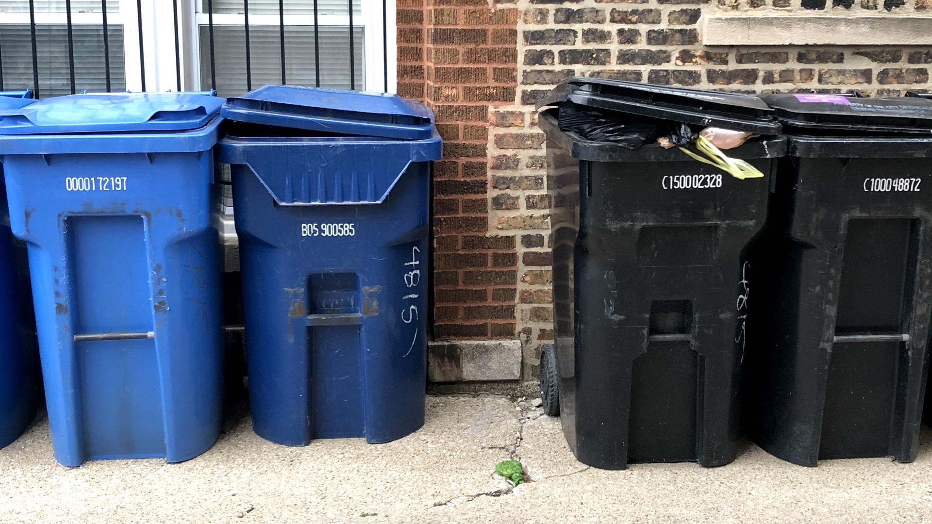 Results of Waste Management Study Have Chicago Thinking Outside the Black  and Blue Cart, Chicago News