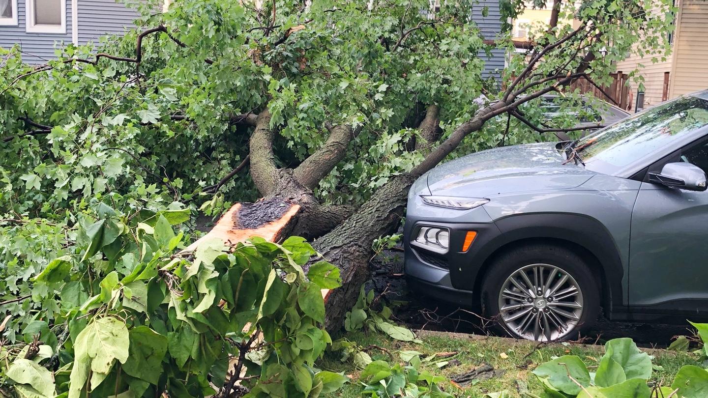 Trees crashed onto cars and into streets during storms on Aug. 10, 2020. (Patty Wetli / WTTW News)