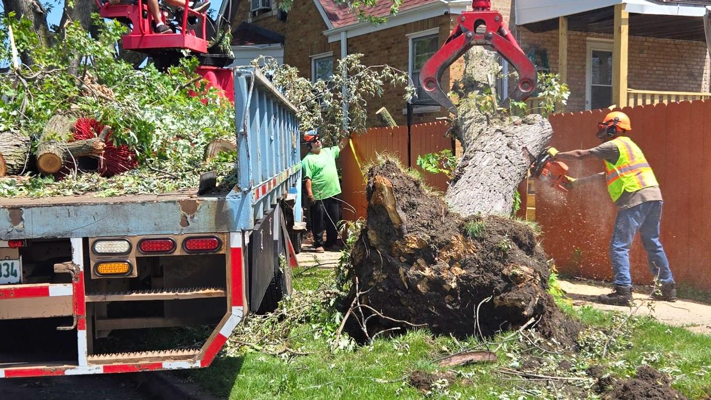 Bureau of Forestry crews responding to one of nearly 6,000 tree emergency requests recorded by 311 following severe storms July 14-15. (Courtesy of Department of Streets and Sanitation)