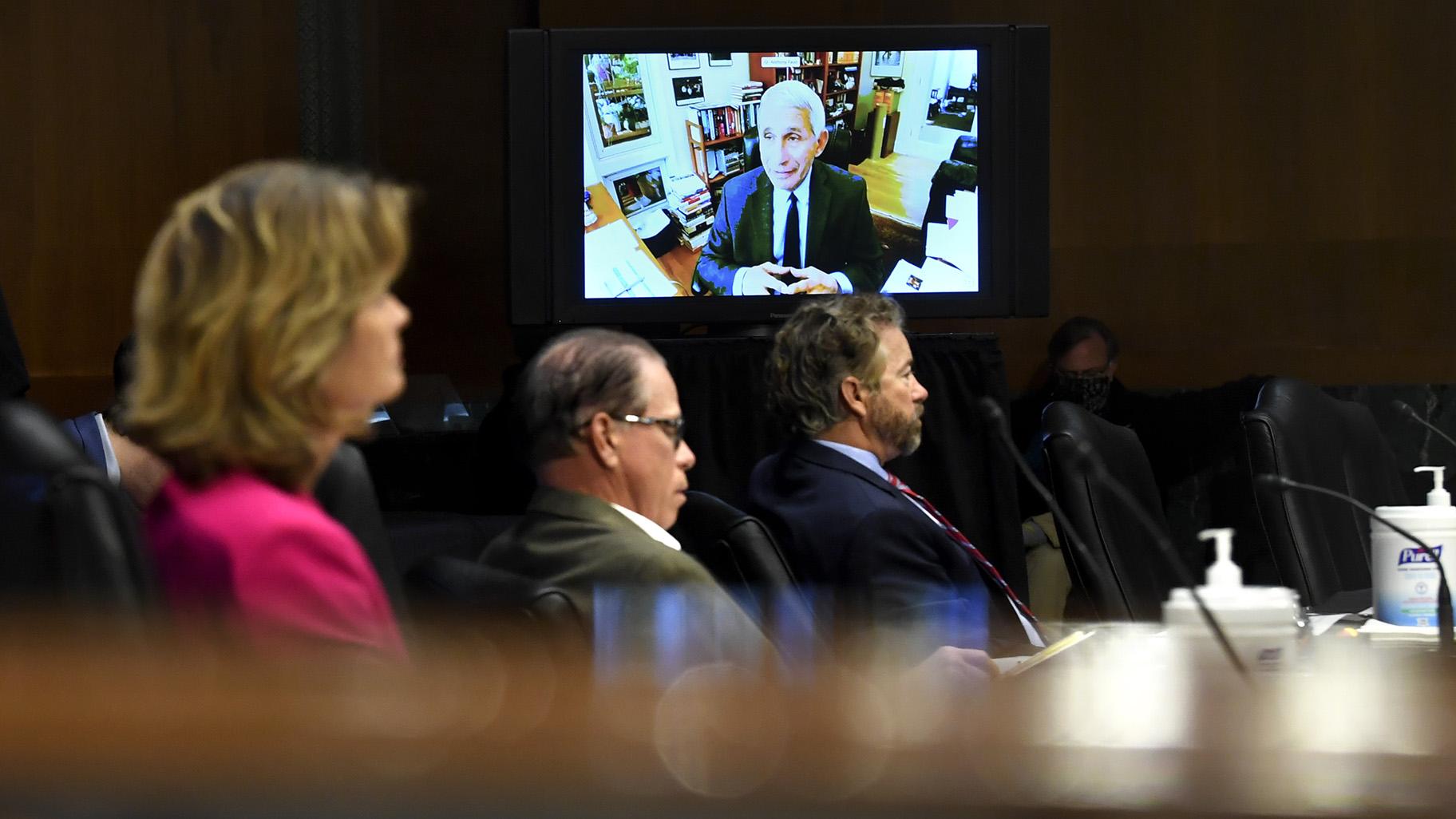 Senators listen as Dr. Anthony Fauci, director of the National Institute of Allergy and Infectious Diseases, speaks remotely during a virtual Senate Committee for Health, Education, Labor, and Pensions hearing, Tuesday, May 12, 2020 on Capitol Hill in Washington. (Toni L. Sandys / The Washington Post via AP, Pool)