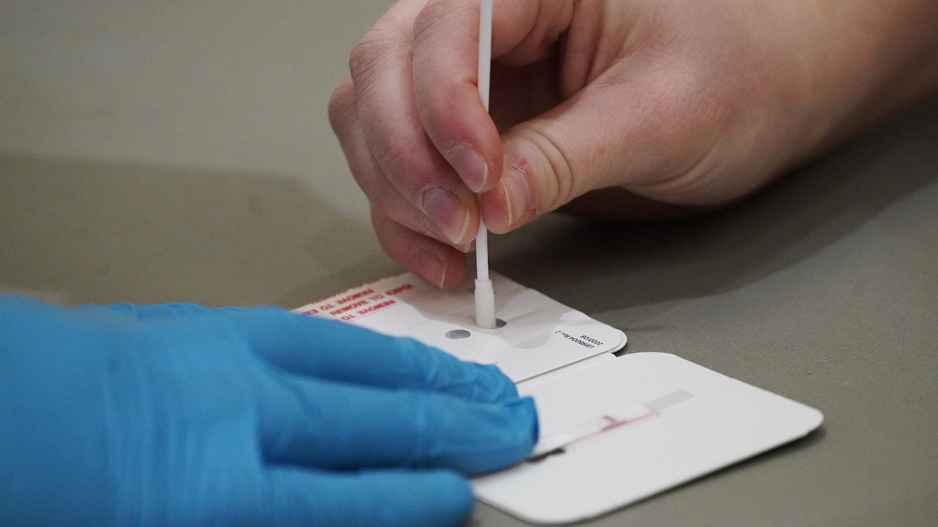 Students perform rapid COVID-19 tests at Weber State University Wednesday, Nov. 11, 2020, in Ogden, Utah. (AP Photo/Rick Bowmer)