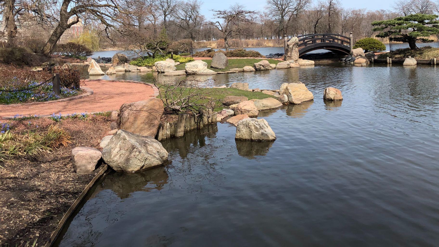 Wooded Island’s Japanese Garden, in spring. (Patty Wetli / WTTW News)