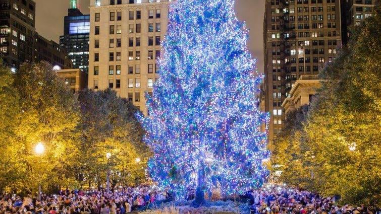 Chicago Millennium Park Christmas Tree - 2021 Christmas Ornaments