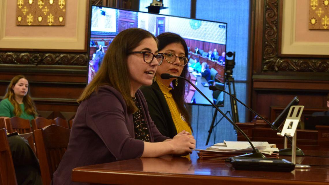 Emily Coffey, senior counsel of the Chicago Lawyers’ Committee for Civil Rights, speaks beside state Sen. Karina Villa, D-Chicago, during a Senate Executive Committee in the Statehouse on May 14, 2025. (Jade Aubrey / Capitol News Illinois) Emily Coffey, senior counsel of the Chicago Lawyers’ Committee for Civil Rights, speaks beside state Sen. Karina Villa, D-Chicago, during a Senate Executive Committee in the Statehouse on May 14, 2025. (Jade Aubrey / Capitol News Illinois)