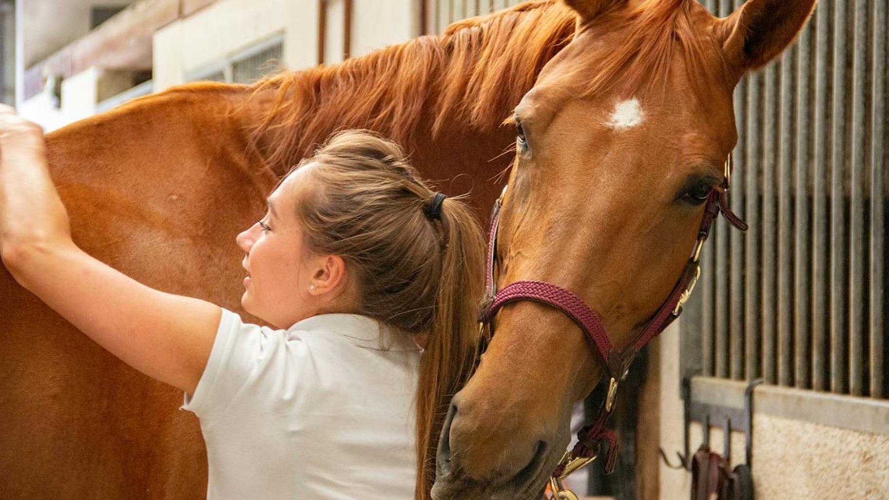 A measure awaiting Gov. JB Pritzker would mandate that certain insurance plans cover hippotherapy and other therapeutic horseback riding treatments. (Philippe Oursel / Unsplash) A measure awaiting Gov. JB Pritzker would mandate that certain insurance plans cover hippotherapy and other therapeutic horseback riding treatments. (Philippe Oursel / Unsplash)