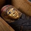 Mummy in Storage Box