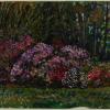 Alicia's Azaleas on St. Mary's River, Georgia, 1962