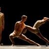 Hubbard Street Dance Chicago, "Petite Mort"; photo by Todd Rosenberg