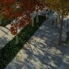 Memorial plaza Autumn trees. Image Credit: Squared Design Lab
