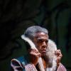 André de Shields (Akela) in Tony Award winner Mary Zimmerman’s new musical adaption of The Jungle Book at Goodman Theatre